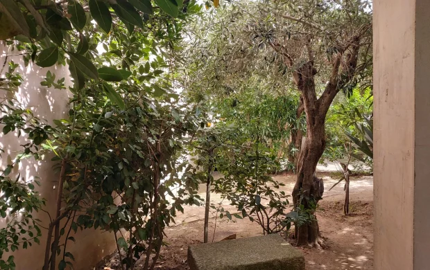i-ginepri-001guest-house-olbia
